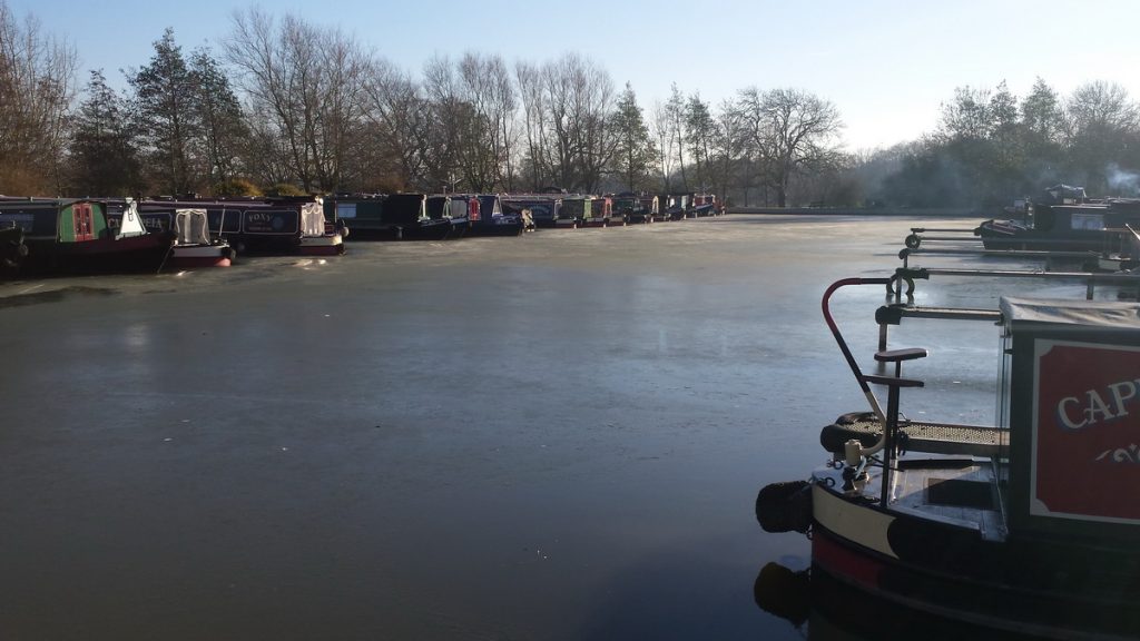 Ice forming in the marina